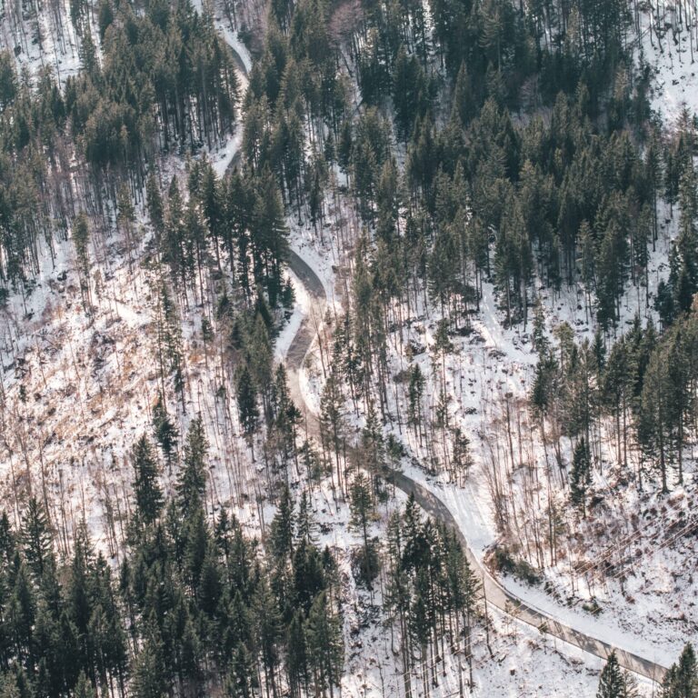 DSC_0017